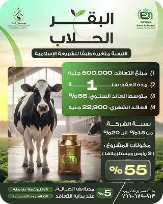 عقد 1