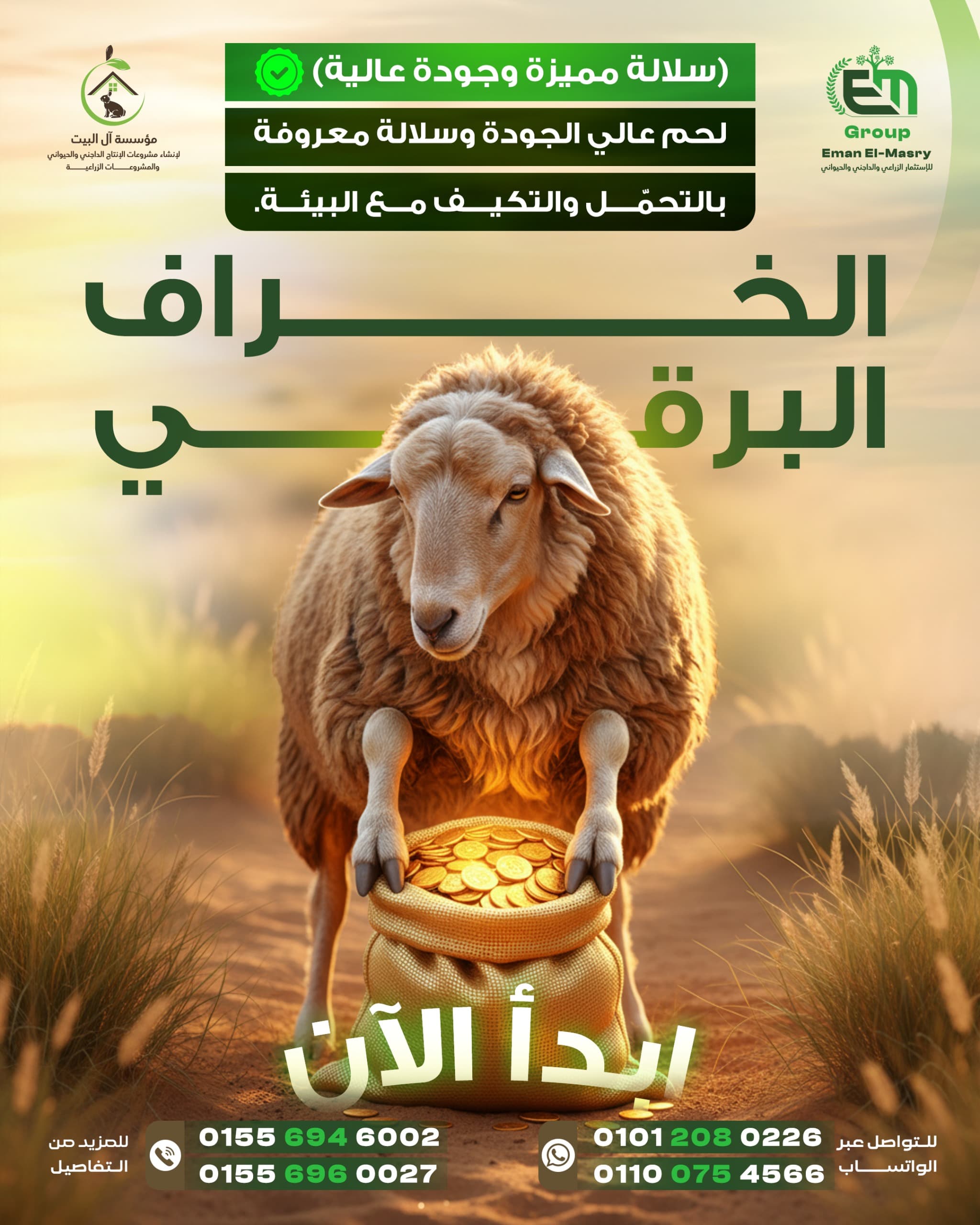 عقد 5