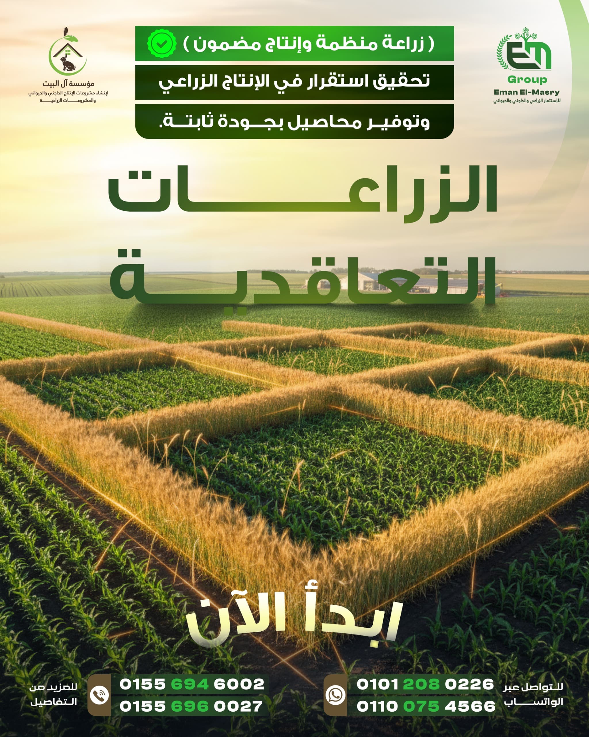 عقد 7
